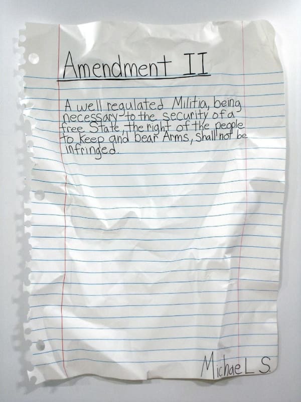 Michael Scoggins, Amendment II, 2008