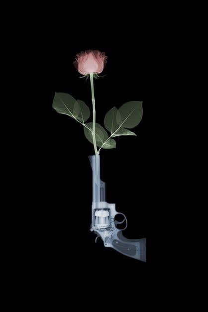 Nick Veasey, Magnum & Rose, 2018