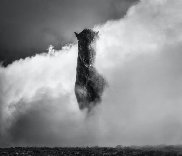David Yarrow, 66 Degrees North, 2022