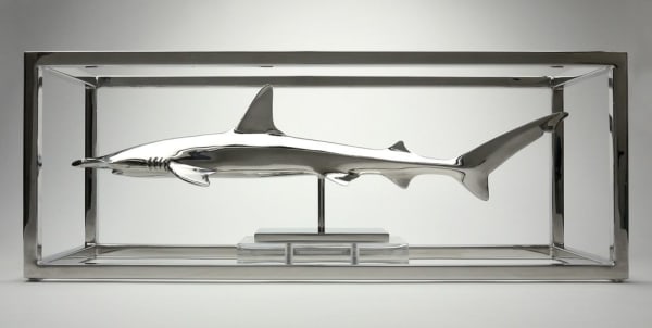 Christopher Schulz, Hammerhead, 2019