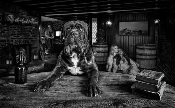 David Yarrow, The Dogfather, 2022