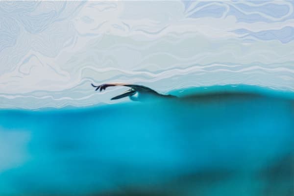 Jonathan Nimerfroh and Brooke Kelley, Sea Bird, 2023