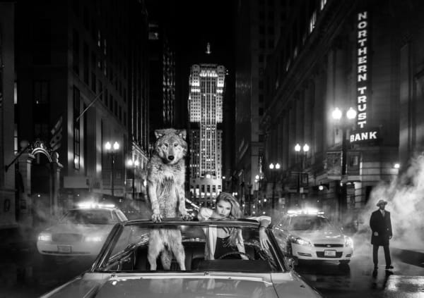 David Yarrow, Chicago, 2019