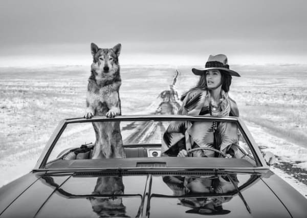 David Yarrow, On the Road Again, 2020