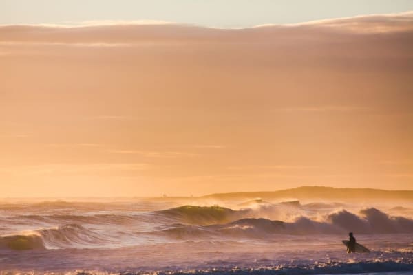 Jonathan Nimerfroh, Evening Dip, 2016