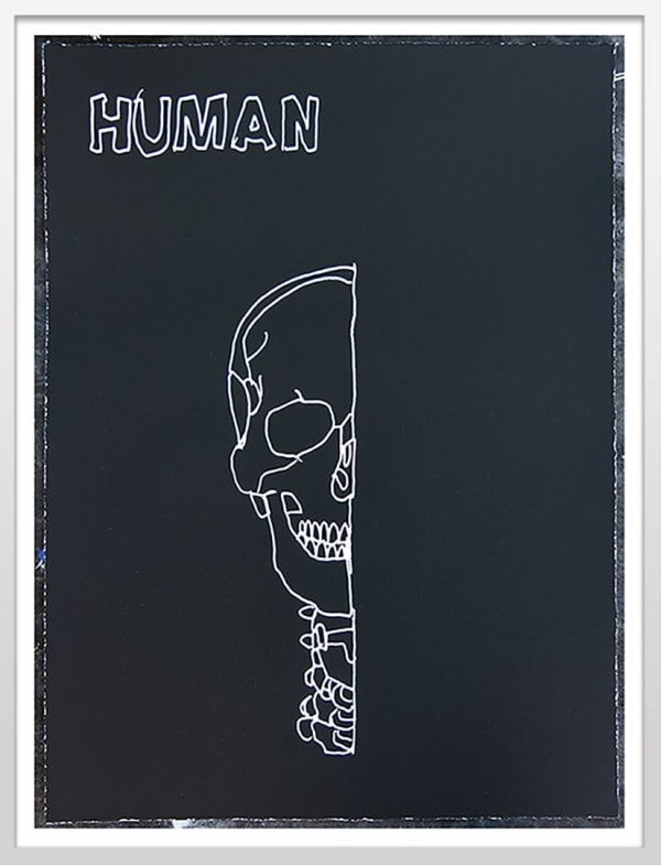 Dan Baldwin, Human (framed), 2016