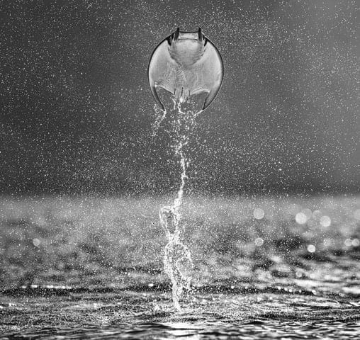 David Yarrow, Rocket Man, 2021