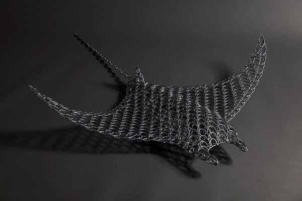 Vincent Mock, Devil Ray, 2018