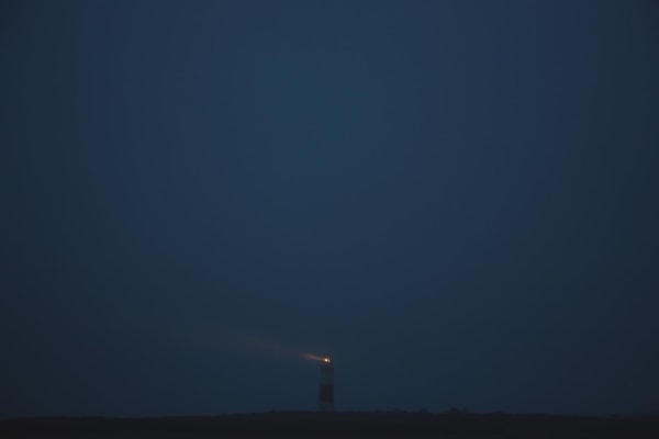 Jonathan Nimerfroh, Lost In The Light, 2016