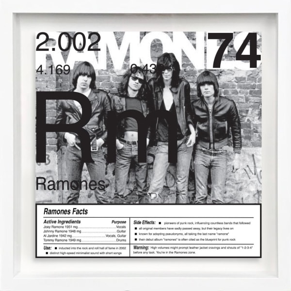 Daniel Allen Cohen, Ramones (Rn-74), 2023