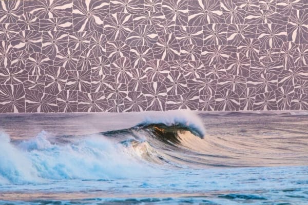 Jonathan Nimerfroh and Brooke Kelley, Days In The Sun, 2023