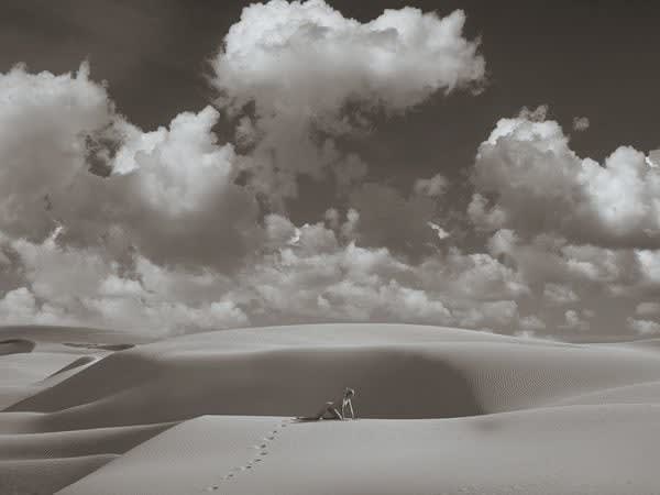 Tyler Shields, Lioness