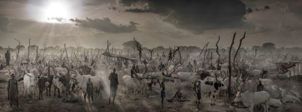 David Yarrow, The New Testament (Colour), 2022