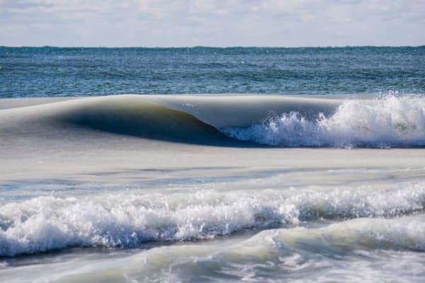 Jonathan Nimerfroh, Winter Palette, 2018