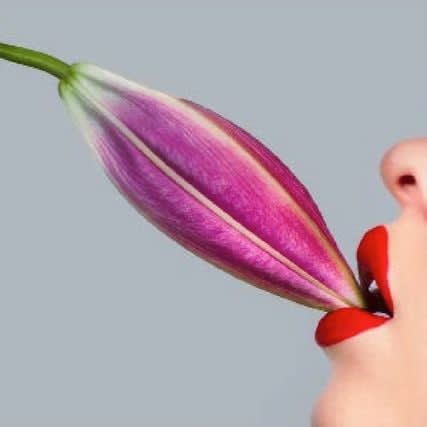 Tyler Shields, Lilly