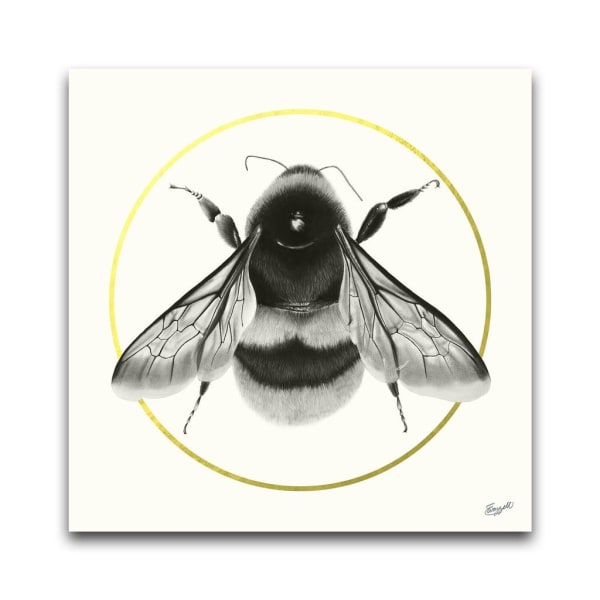 Elizabeth Waggett, This is the Place, 2020