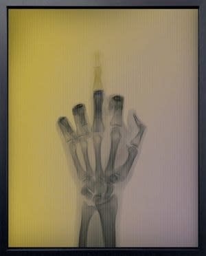 Nick Veasey, The Bird in Color, 2023