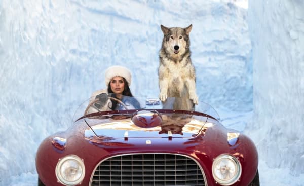 David Yarrow, Driving Home for Christmas, Lake Tahoe CA (Color), 2024