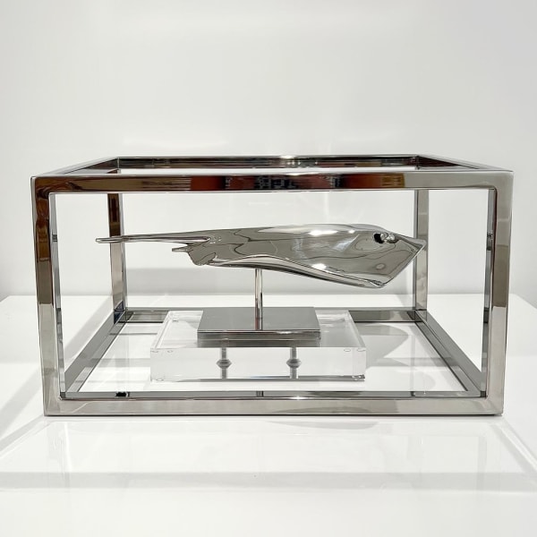 Christopher Schulz, Stingray, 2022