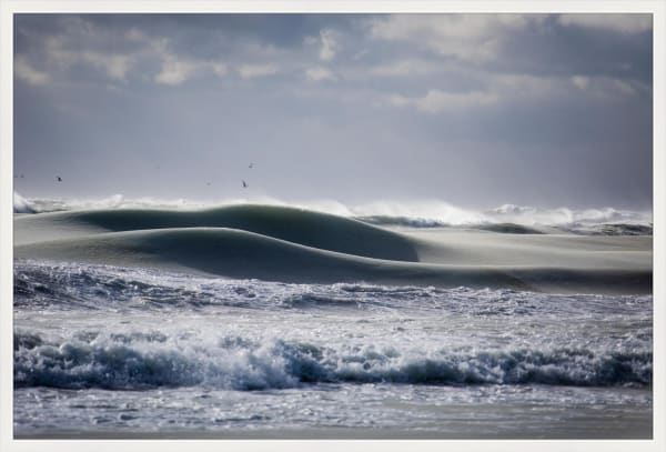 Jonathan Nimerfroh, Carry On