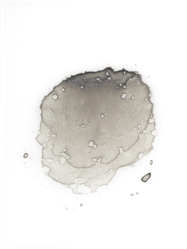 Çağla Köseoğulları, İsimsiz 70 | Untitled 70, 2016