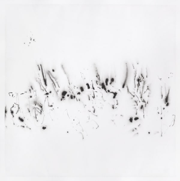 Çağla Köseoğulları, İsimsiz 18 | Untitled 18, 2018