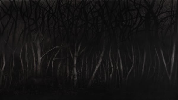 Gizem Akkoyunoğlu, The Catastrophe, 2019
