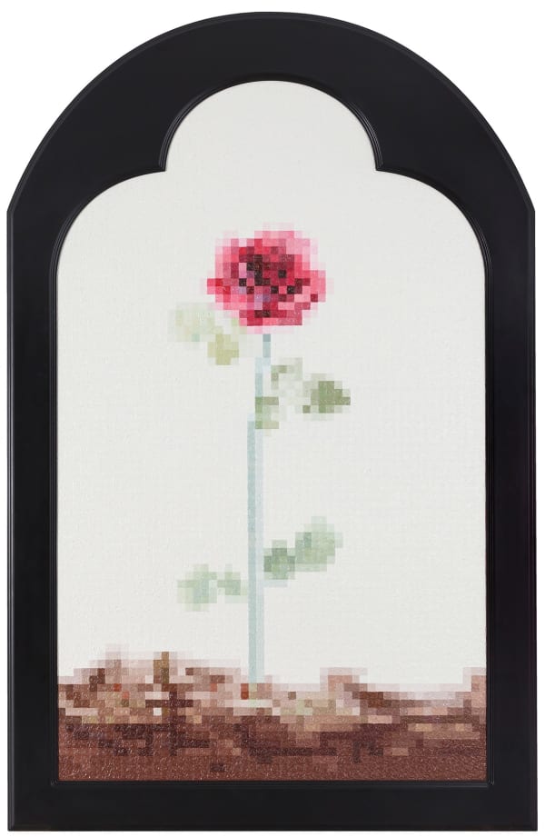 Merve Şendil, Çünkü tırtılları ben onun için öldürdüm | Because it is for her that I have killed the caterpillars, 2018