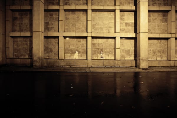 Sergen Şehitoğlu, İsimsiz 0 dB serisinden | Untitled from 0 dB series, 2012
