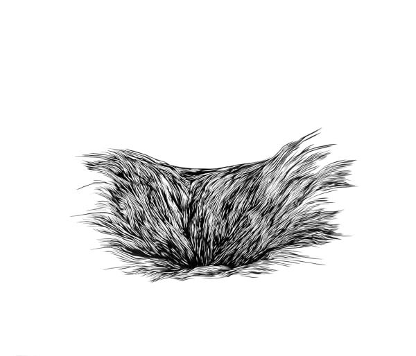 Çağla Köseoğulları, İsimsiz 33 | Untitled 33, 2013