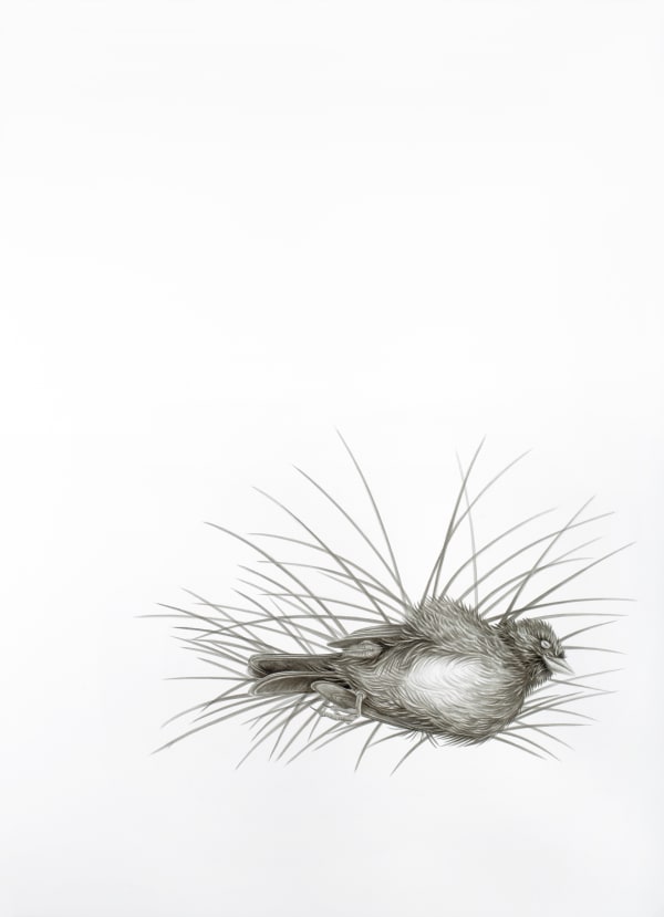 Çağla Köseoğulları, İsimsiz 10 | Untitled 10, 2016