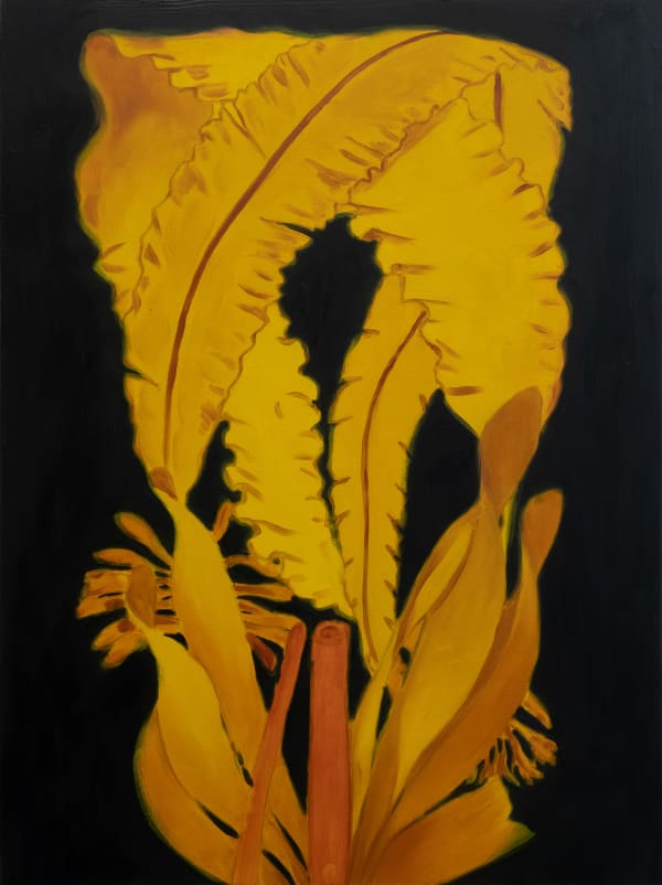 Erol Eskici, Lily, 2023