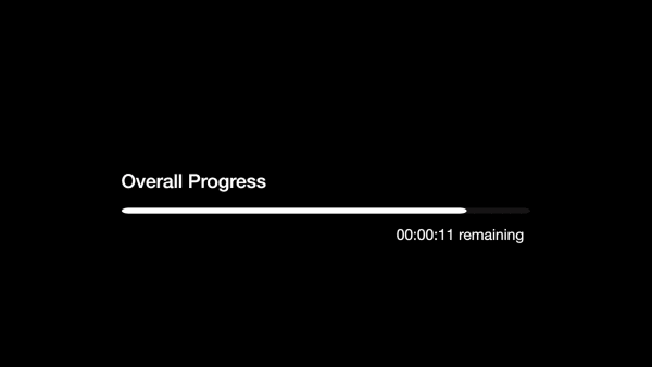 Zeyno Pekünlü, Perfect Loop, 2024