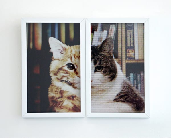 Mickey Smith, Feline, 2010