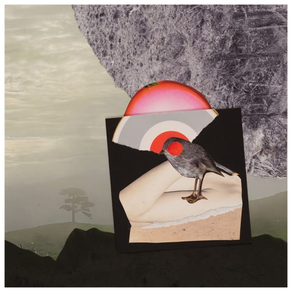 Teresa Hr Lane Kakaruia, 2021 photography & mixed media collage 25.0 x 25.0 cm