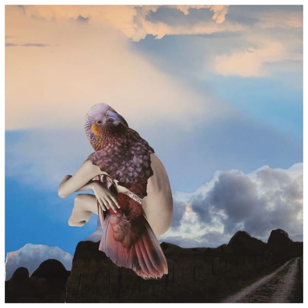 Teresa Hr Lane Kaka, 2021 photography & mixed media collage 36.5 x 36.5 cm