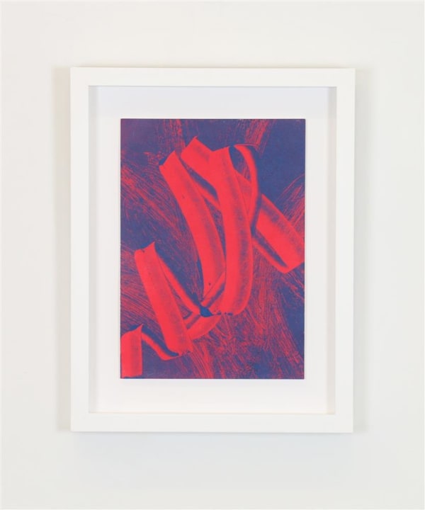 Zara Dolan #FF4A73 - 2 - S/C, 2023 Monotype print on Wet Strength Cartridge paper 410 x 320 mm