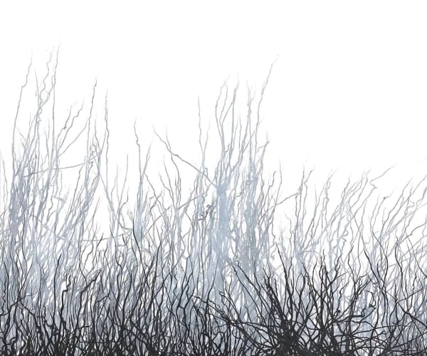 Anita Levering Untitled 668 - Black, 2017 Ink and acrylic on canvas 100.0 x 120.0 cm