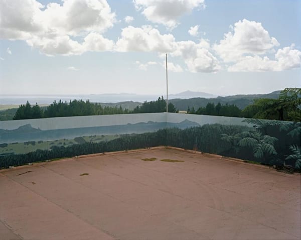 Sam Hartnett, Brynderwyn View, 2008