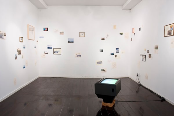 Andrew De Freitas, R O O T / C A N A L, 2009