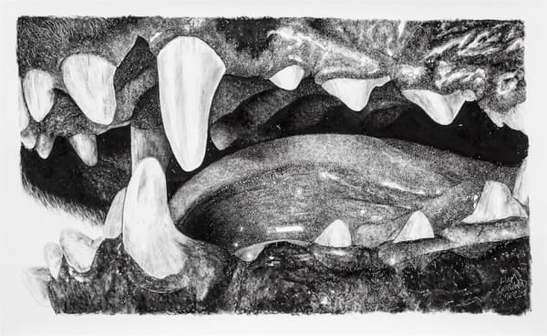 Liam Gerrard Gums, Tongue & Teeth #2, 2012 Charcoal on paper 81.5 x 130.0 cm