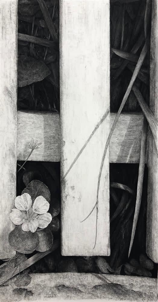 Liam Gerrard Autumn Eternal, 2018 charcoal on paper 92.0 x 52.0 cm