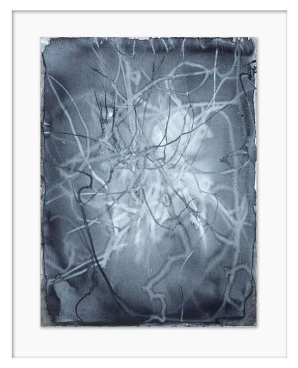 Anita Levering Trail 004, 2015 water colour on acid free paper 40.0 x 30.0 cm