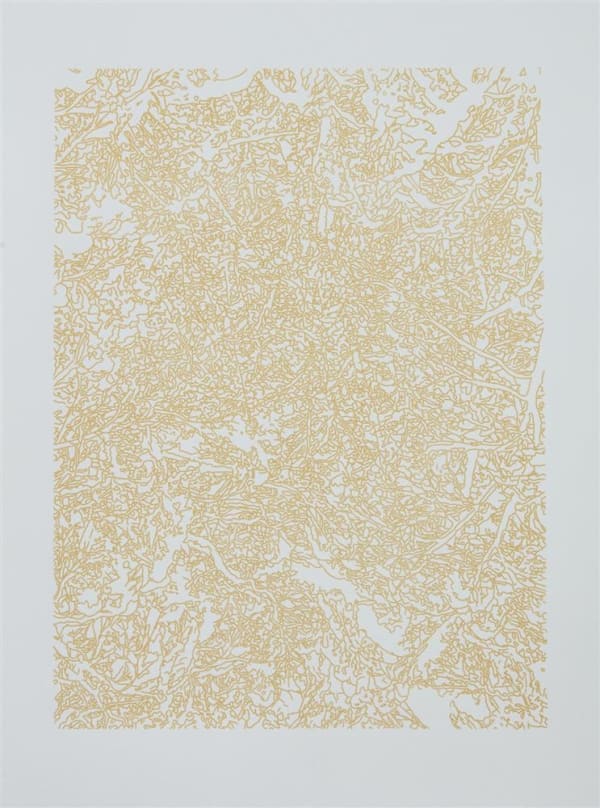 Paris Kirby Sanctuary Tracing, 2017 screenprint, edition of 6 35.5 x 27.0 cm