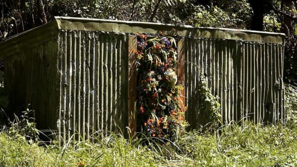 Brit Bunkley Shed 48, 2015 Video still