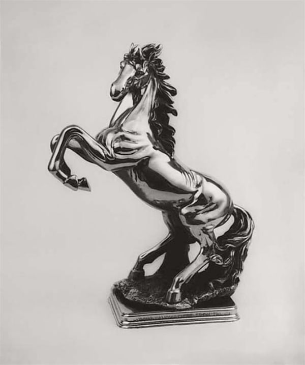 Kevin Capon Stallion, 2007 gelatin silver print, edition of 12 60.0 x 50.0 cm