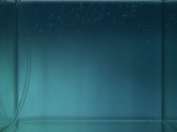 Karena Way, Paradise, video still, 2009