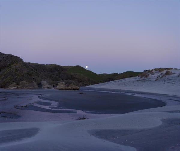 Kate van der Drift Everything Changed to Purple, 2020 Pigment photograph on Ilford Gold Fibre Gloss, edition of 5 + 1AP 955 x 1125 mm