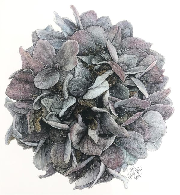 Liam Gerrard Paul, 2019 charcoal and pan pastel on paper 60.0 x 54.5 cm