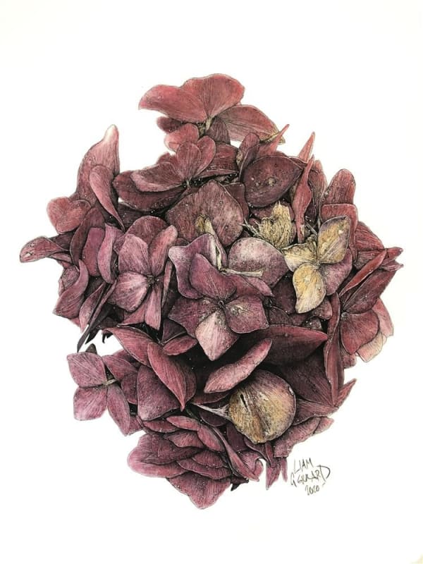 Liam Gerrard Huia Road, Titirangi, 2020 charcoal and pan pastel on paper 500 x 380 mm